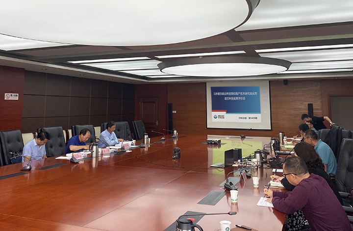 马铃薯抗病品种选育和稳产技术研究及应用 anli.jpg